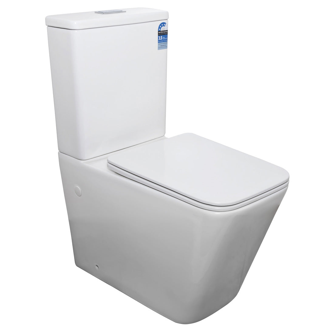 Danube Rimless Back to Wall Toilet Suite V3