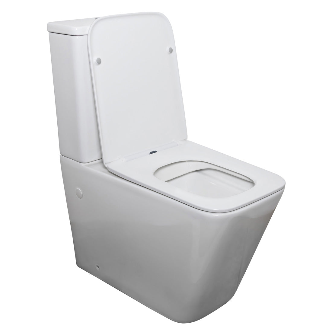 Danube Rimless Back to Wall Toilet Suite V3