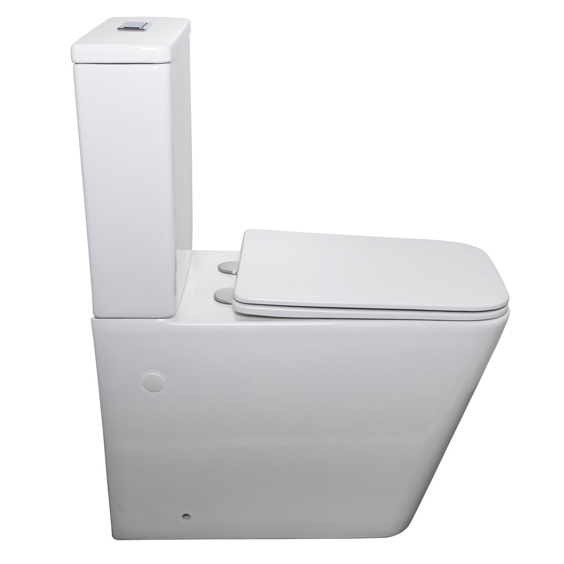 Danube Rimless Back to Wall Toilet Suite V3