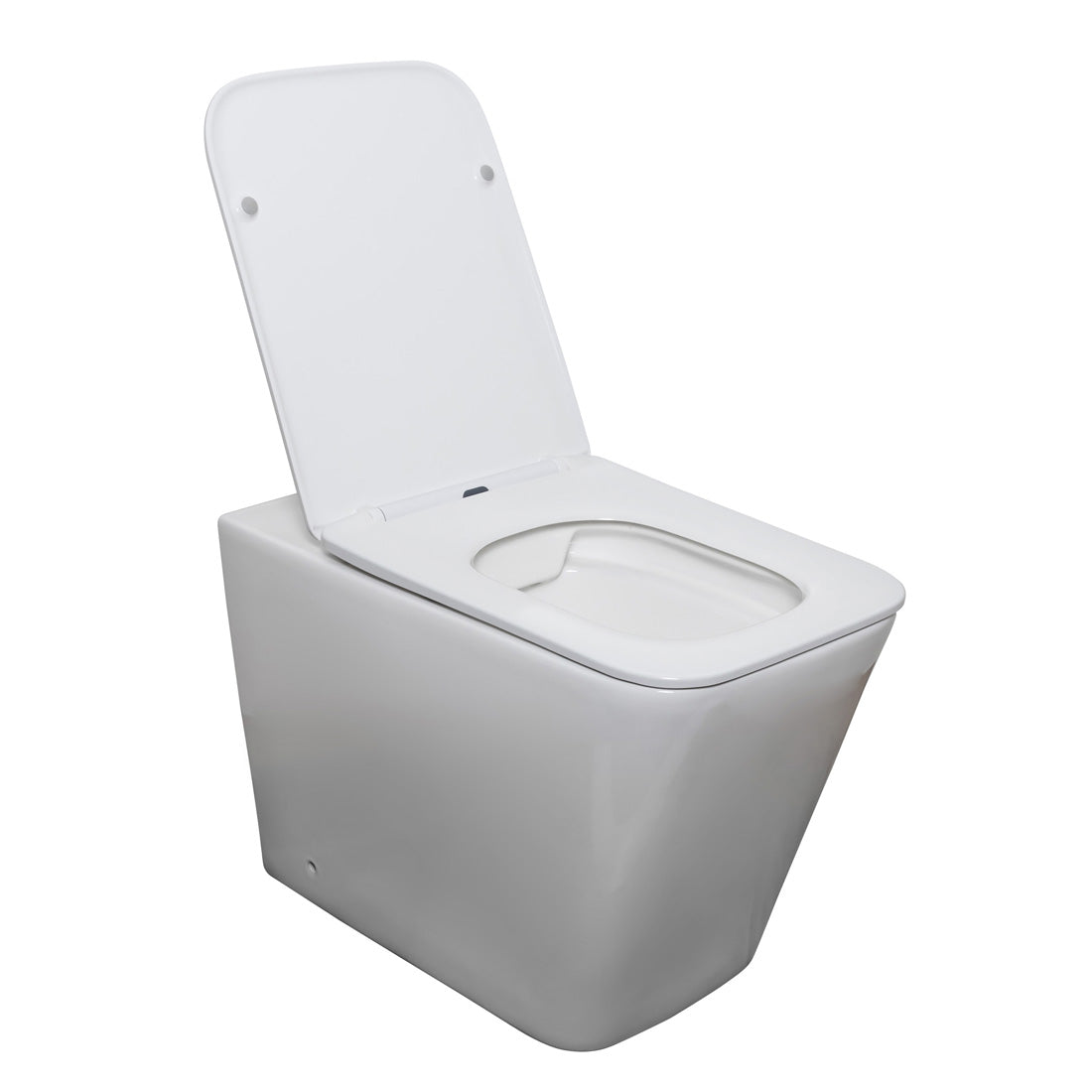 Danube Rimless Wall Faced Pan