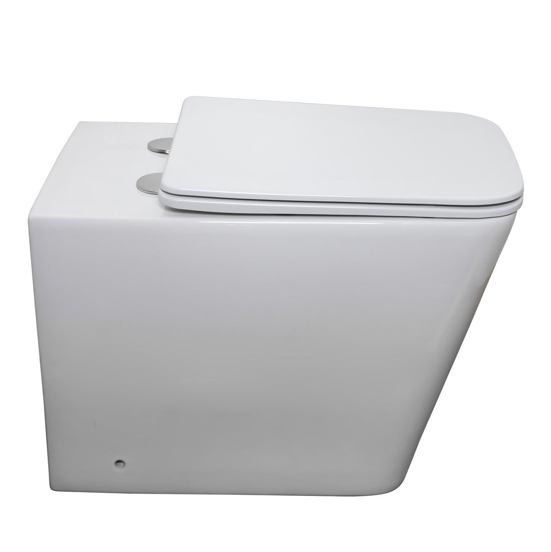 Danube Rimless Wall Faced Pan