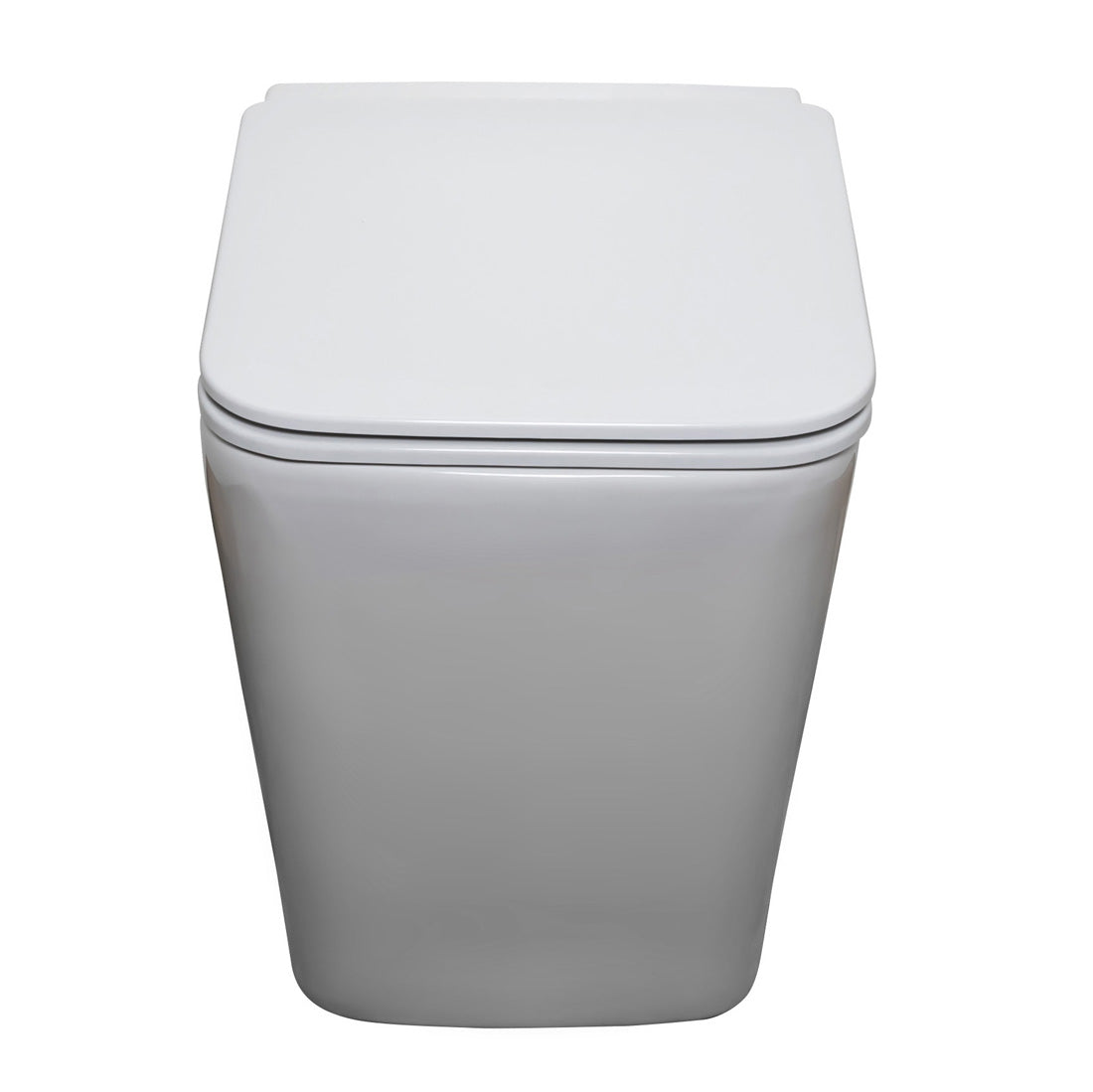 Danube Rimless Wall Faced Pan