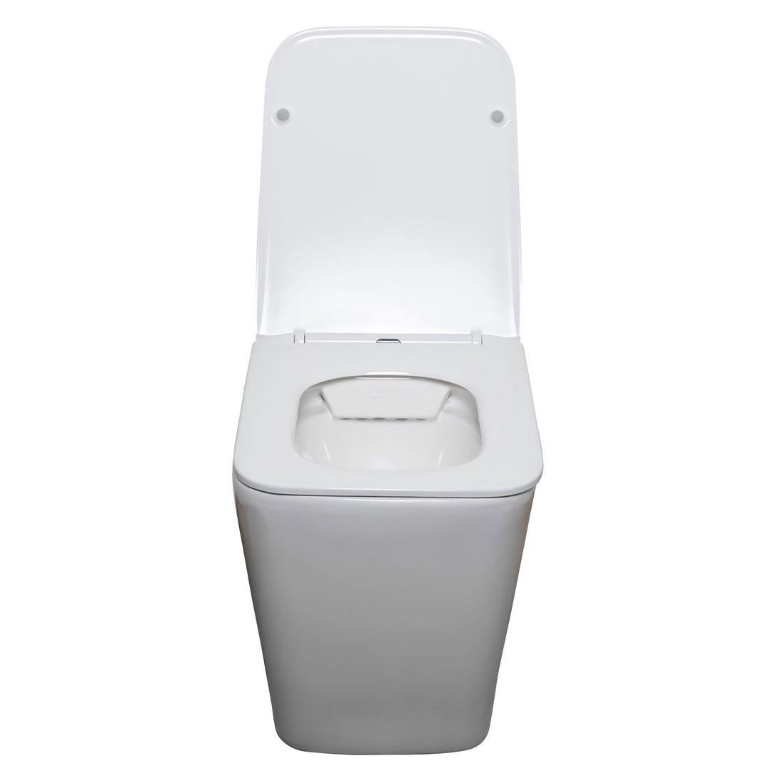 Danube Rimless Wall Faced Pan