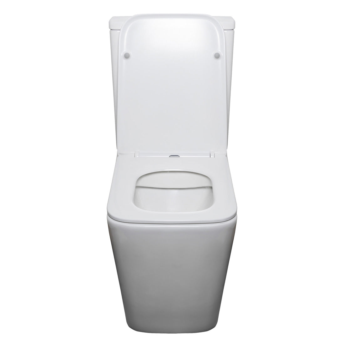 Danube Rimless Back to Wall Toilet Suite V3